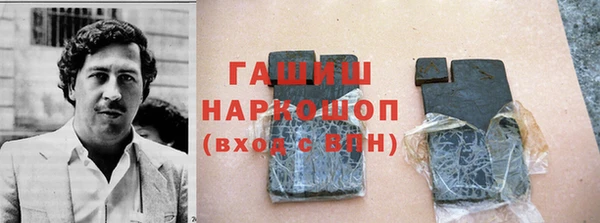 стаф Богданович