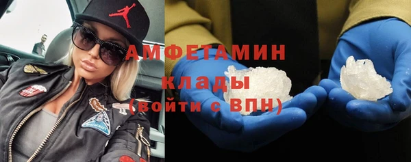 стаф Богданович