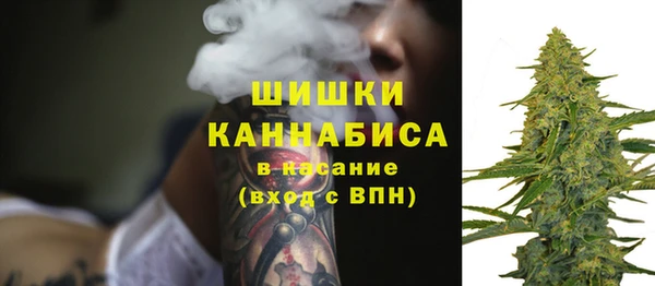 стаф Богданович