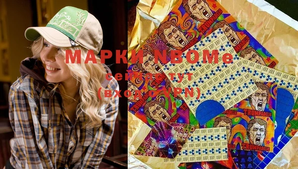 стаф Богданович