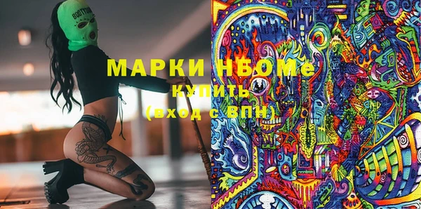 мдпв Арсеньев