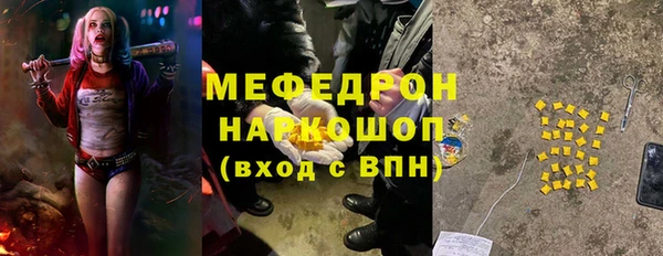 мдпв Богородицк