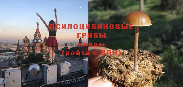 мдпв Богородск