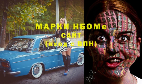 мдпв Богородицк