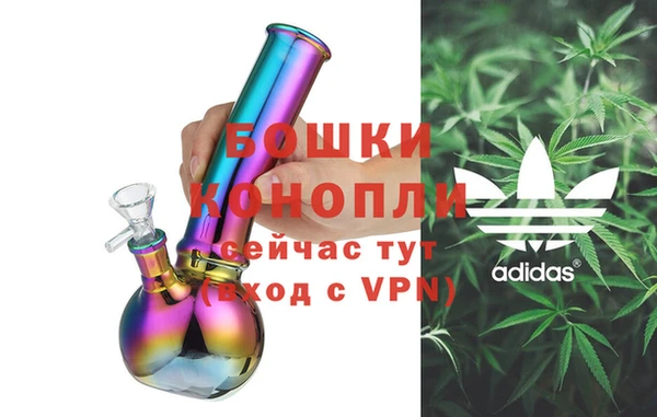 мдпв Богородицк