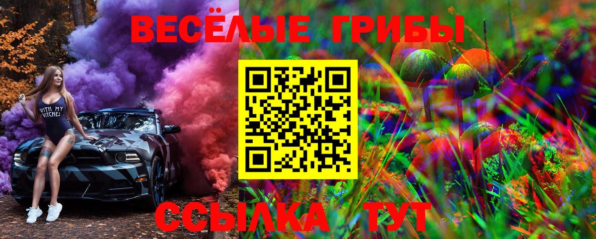 Псилоцибиновые грибы мухоморы Семилуки